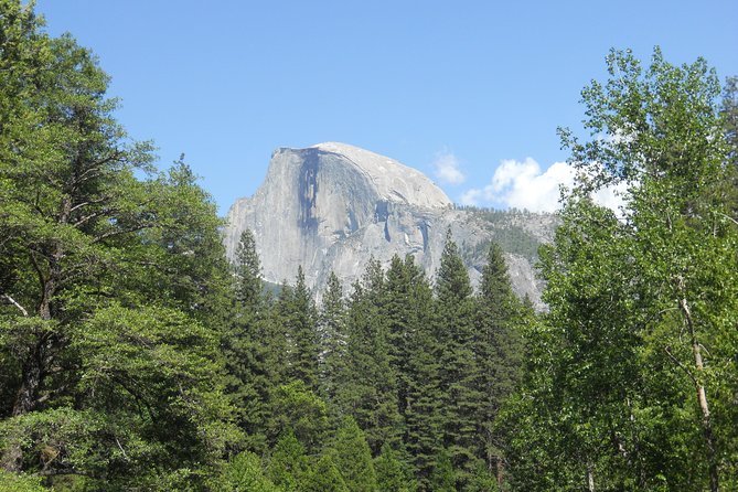 Small-Group Day Trip to Yosemite From Lake Tahoe - Safety Considerations