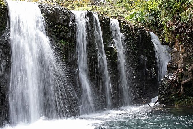 Small Group Full Day Road to Hana Adventure - Cancellation and Booking Details