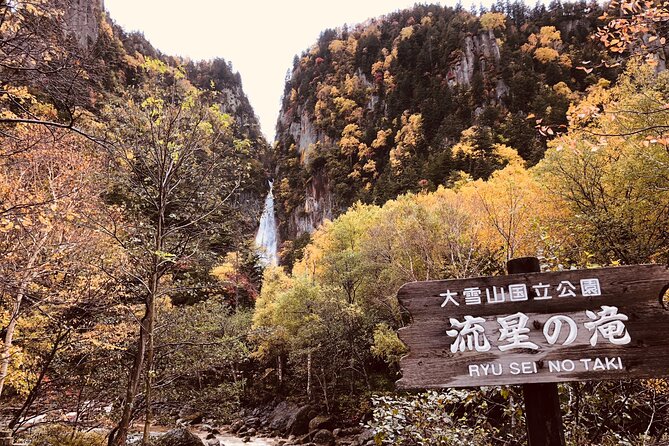Sounkyo Gorge Autumn Leaves Ice Pavilion Day Tour by Private Car - Booking Policies and Flexibility