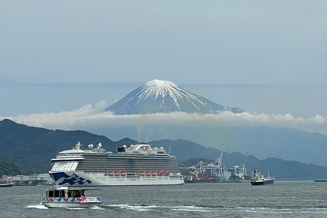 Step-Free Easy Going Tour From Shimizu Port / Small Bus - Transportation and Comfort