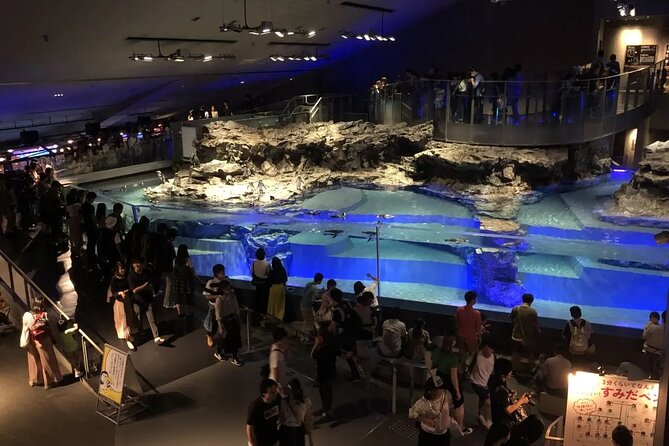 Sumida Aquarium Ticket Tokyo - Important Considerations