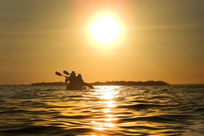 Sunset Bioluminescence Tour - Participant Information