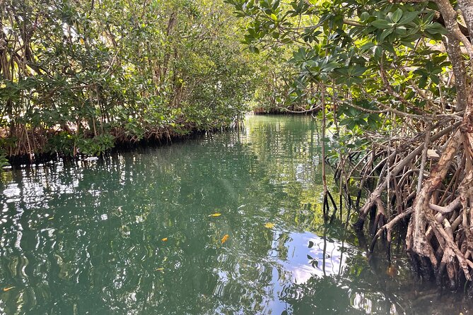 SUNSET CRUISE in Key Largo,FL. - Tips for an Enjoyable Sunset Cruise