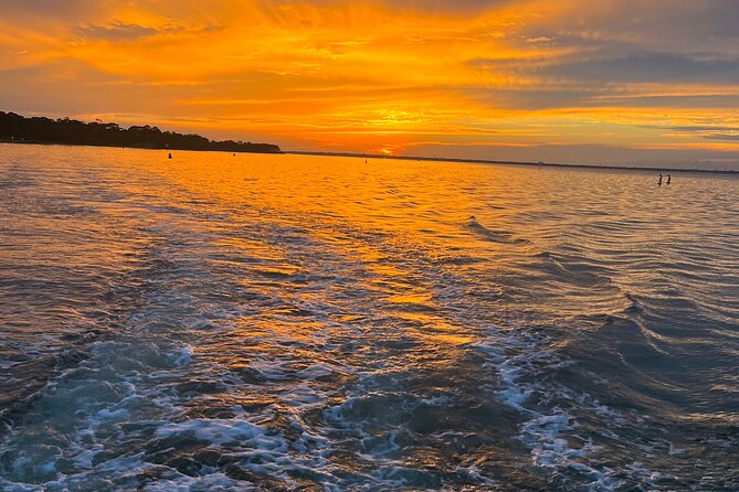 Sunset Dolphin Excursion - Dolphin Sightings and Encounters