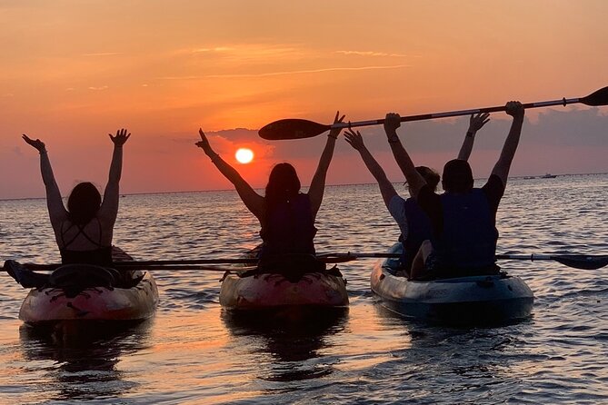 Sunset Kayaking With Dolphins - Embracing Natures Beauty
