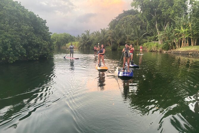 Sunset Stand up Paddle With Photos and Turtles - Convenient Meeting and Pickup Location