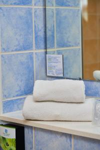 Sure Hotel by Best Western Limoges Sud - Policies and Regulations