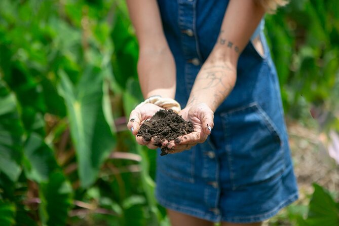 Taste of Hawaii: A Maui Farm Tour - Preparation and Recommendations