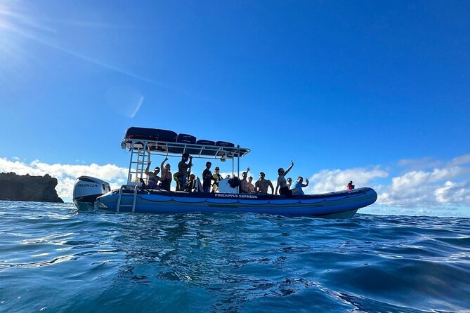 The Best 2.5 Hour Molokini Snorkel Tour & Whale Watch - Whale Watching Adventure