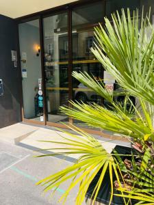 The Bristol Hotel - Nearby Attractions