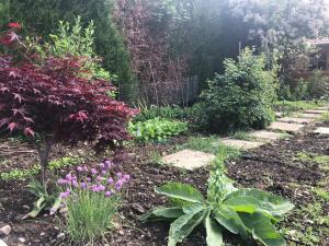 The Lime Trees Montbeliard South Audincourt - Additional Information