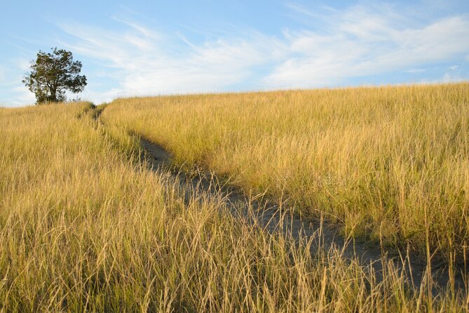 Theodore Roosevelt South Unit Self-Guided Driving Audio Tour - Tips for an Enjoyable Experience