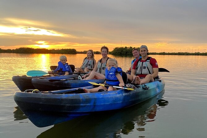 Thousand Islands Mangrove Tunnel & Bio Comb Jelly Sunset Tour - Bioluminescent Comb Jellies