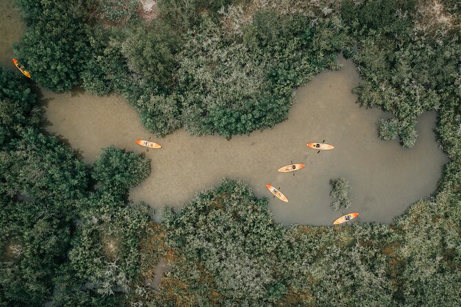 Thousand Islands Mangrove Tunnel Kayak Tour With Cocoa Kayaking! - Customer Reviews and Feedback