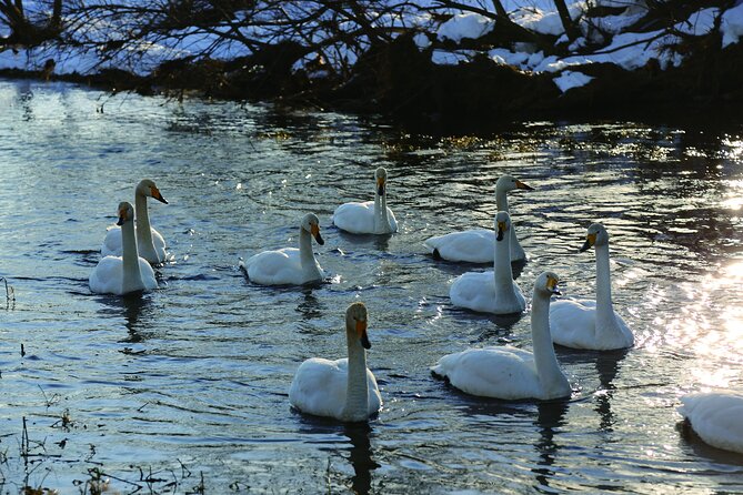Tokachi Winter River Cruising - Additional Information and Recommendations