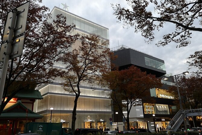Tokyo Art and Culture Tour - Tour Duration and Schedule