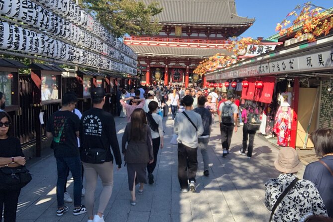 Tokyo Half Day With a Local Expert Guide - What to Expect During the Half-Day Experience