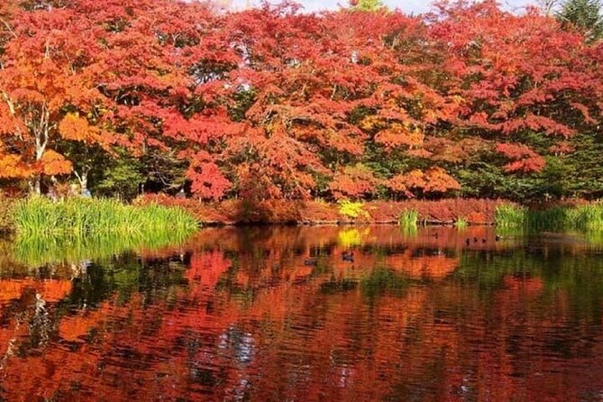 Tokyo: Karuizawa, Hoshino Resorts and Glacier Shrine Day Tour - Additional Information