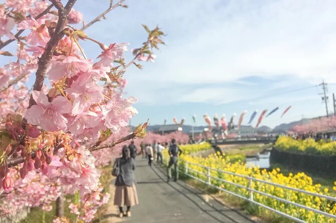 Tokyo Kawazu Sakura Festival With Scenic Train and Pick up - Scenic Train Journey