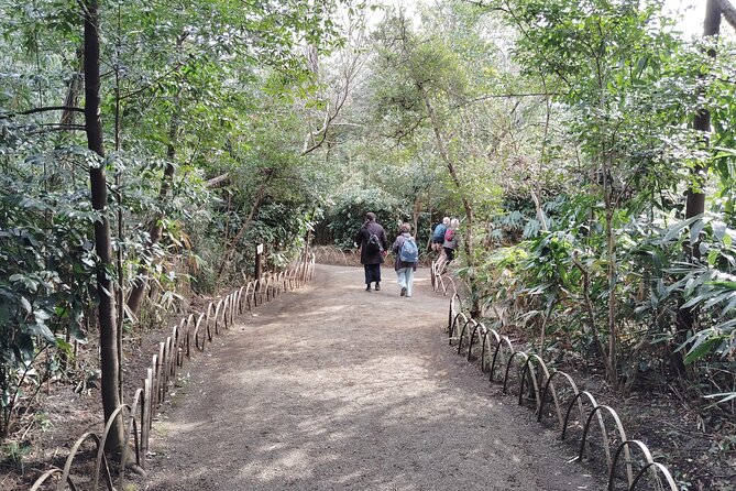Tokyo: Meiji Jingu Shrine & Inner Garden Private Tour (2h) - Meiji Jingu Shrine