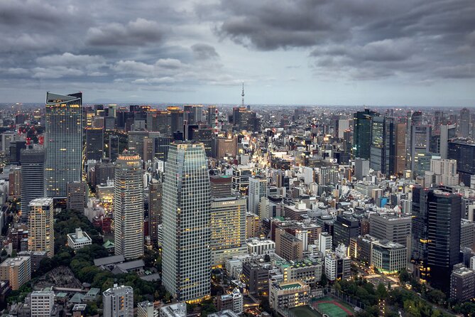 Tokyo Private Day Trip With English Speaking Driver - Customizing Your Itinerary