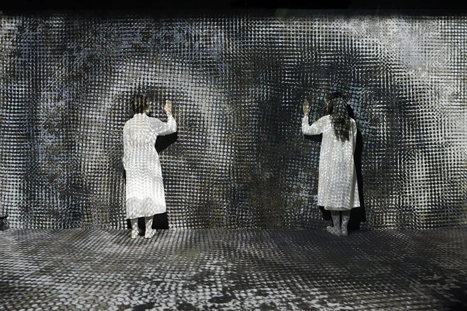 Tokyo: Teamlab Borderless Museum Admission Ticket - Exploring the Teamlab Borderless Museum