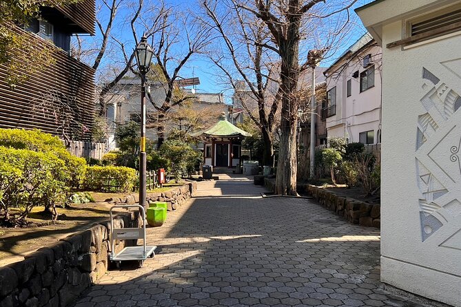 Tokyo Walking Tour of Historic Shopping Streets Yanaka - Capturing Memories and Restrictions