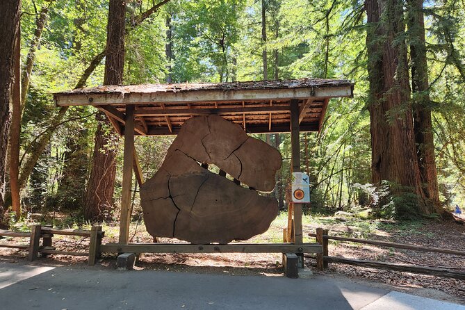 Train Ride Adventure Through Mother Natures Giant Redwoods Park - Customer Reviews and Ratings