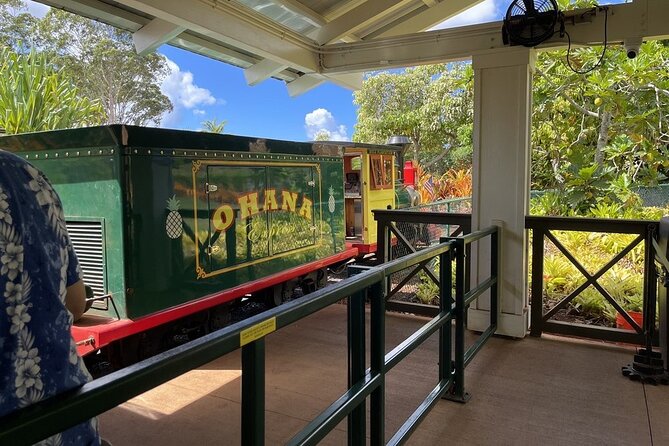 Turtle Snorkeling and Dole Plantation Guided Tour In Oahu - Booking and Cancellation Policies