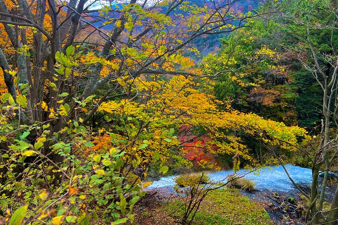 Two Days Nikko Cycling Tour Guided by a Local Monk - What to Bring