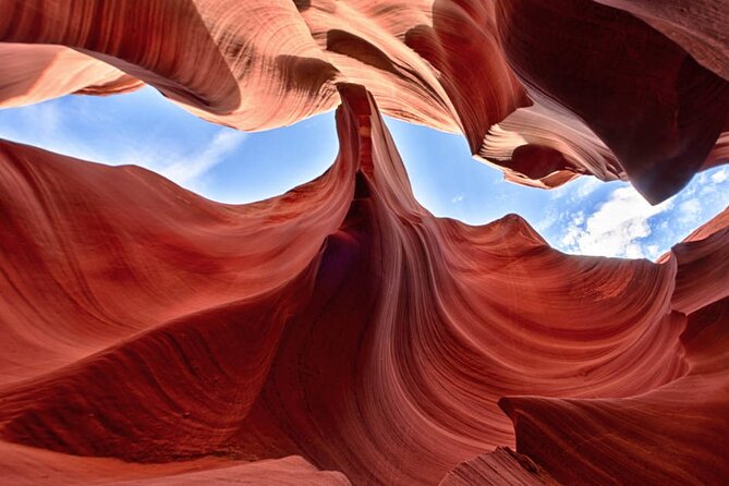 Upper or Lower Antelope Canyon & Horseshoe Bend Tour From Page - Tour Inclusions