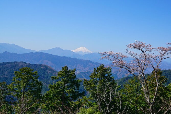 Walking Tour Mount Takao : Nature and Tradition in Tokyo - The Monkey Park Experience
