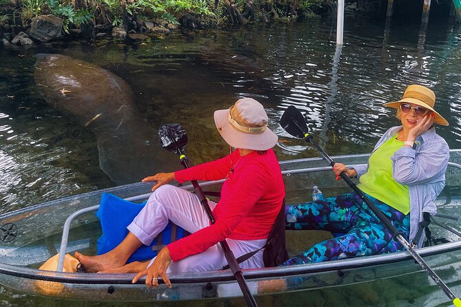 Weeki Wachee Clear Kayak Ecotours Manatee Season - November 14th-March 31st - Kayaking Experience and Safety Protocols