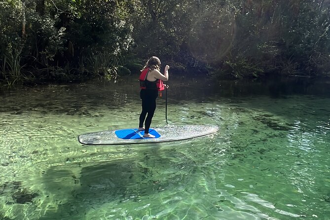 Weeki Wachee Clear Paddle Board Ecotours - Recommended Preparation for Your Tour