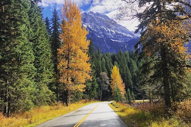 West Glacier & Polebridge Scenic Driving Tour - Constructive Customer Feedback