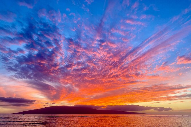 West Maui Sunset Whale Watch - Staff Expertise
