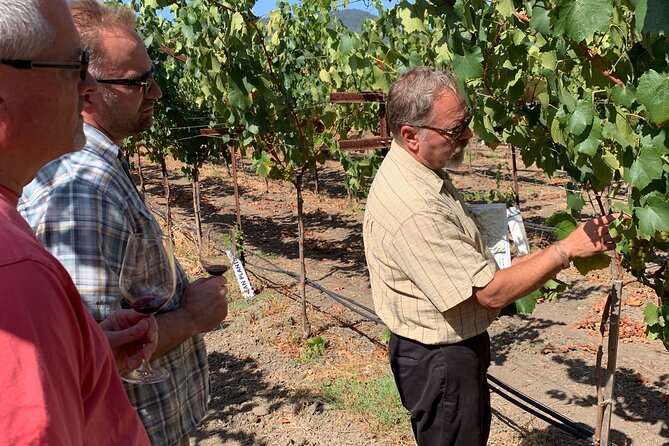 Wine Tour Pros - Napa Wine Tour: SUV Up To 6 Guests - Unforgettable Memories in Napa Valley
