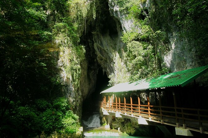 Yamaguchis 4spectacular&Karato Market of Day Tour From Fukuoka - Cancellation Policy