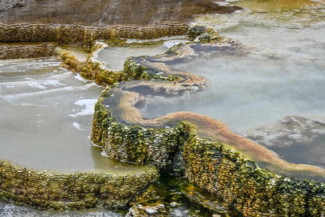 Yellowstone & Grand Teton National Parks: Small Group 4-Day Tour - Tips for an Enjoyable Experience