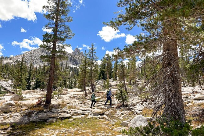 Yosemite: High Country Explorer - Private Hiking Tour - Tips for Your Hiking Experience