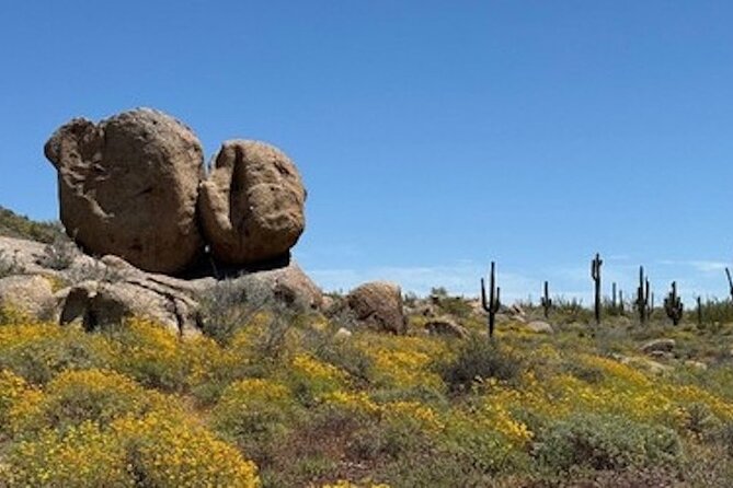 1-2 Hour Sonoran Desert Private Guided Hiking Tour - Included Amenities