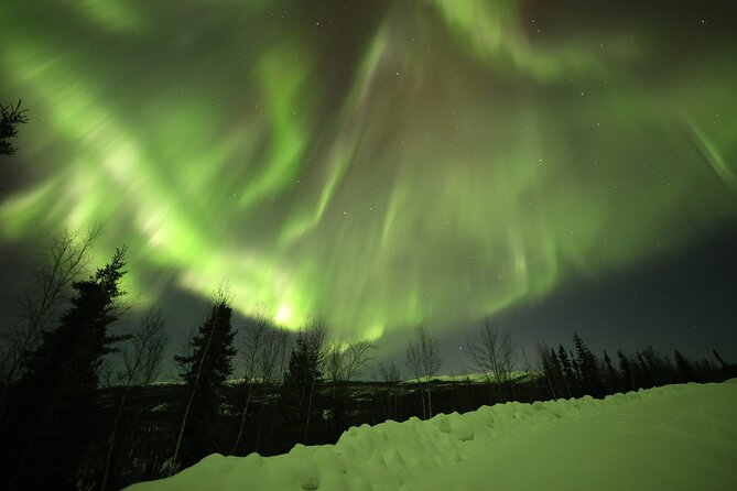 1 Day Shared Tour Arctic Circle and Aurora Viewing in Alaska - Booking Information and Policies