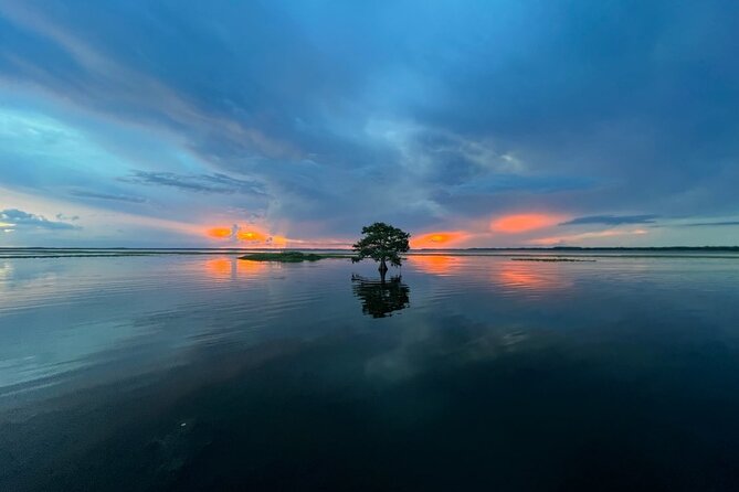 1-Hour Sunset Airboat Ride Near Orlando - Soaring Through the Shallow Waters