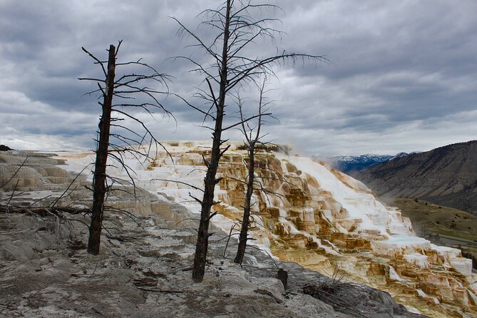 2-Day Yellowstone National Park Upper and Lower Loop Exploration - How to Book