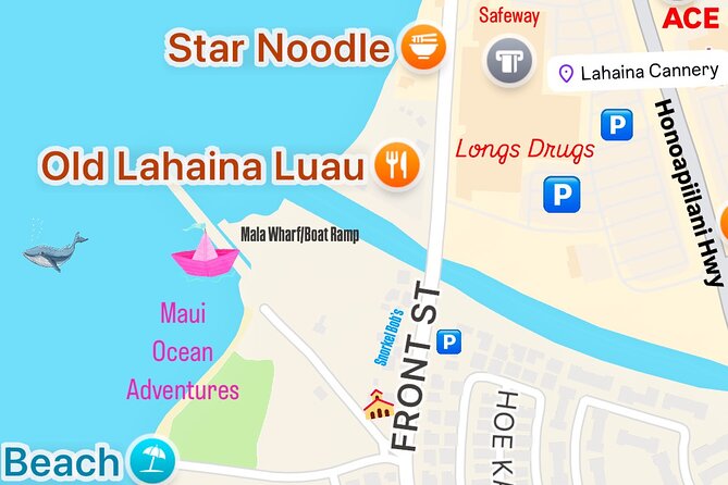2 Hour Lahaina Sunrise Whale Watch - Tips for a Successful Whale Watch Experience