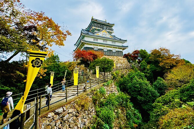 2 Hour Private Scenic Mountain Castle Tour in Gifu - Stunning Mountain Vistas