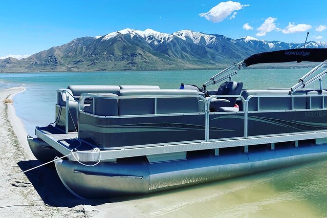 2 Hour Salt Lake Boat Tour With Swimming on the Lake - Why This Tour Is Perfect for Families and Groups