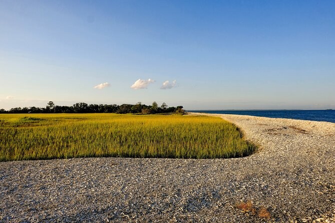 2 Hours Dolphin Eco Tour - Historical and Ecological Commentary