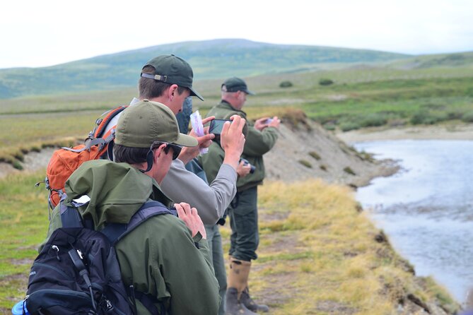 2 Park Bear Viewing Adventure to Katmai and Lake Clark NP - Guest Reviews and Experiences