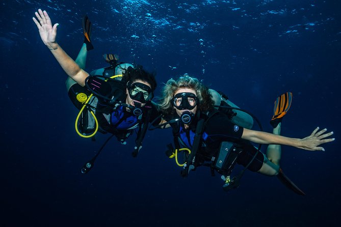 2-Tank Maui Turtle Scuba Dive or Snorkel Boat Tour - Personalized Guidance and Instruction